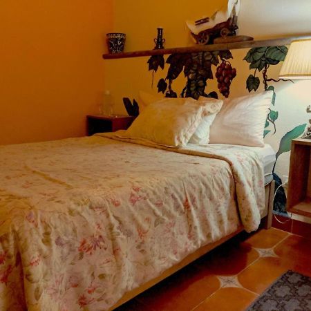 Bed and Breakfast Pozzito Boutique San Miguel de Allende Exterior foto