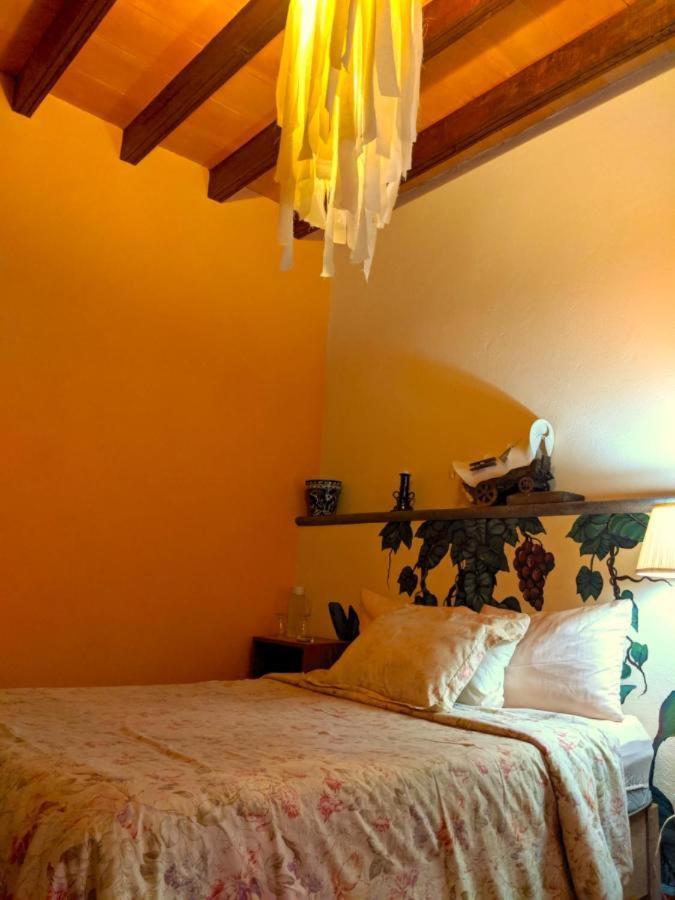 Bed and Breakfast Pozzito Boutique San Miguel de Allende Exterior foto