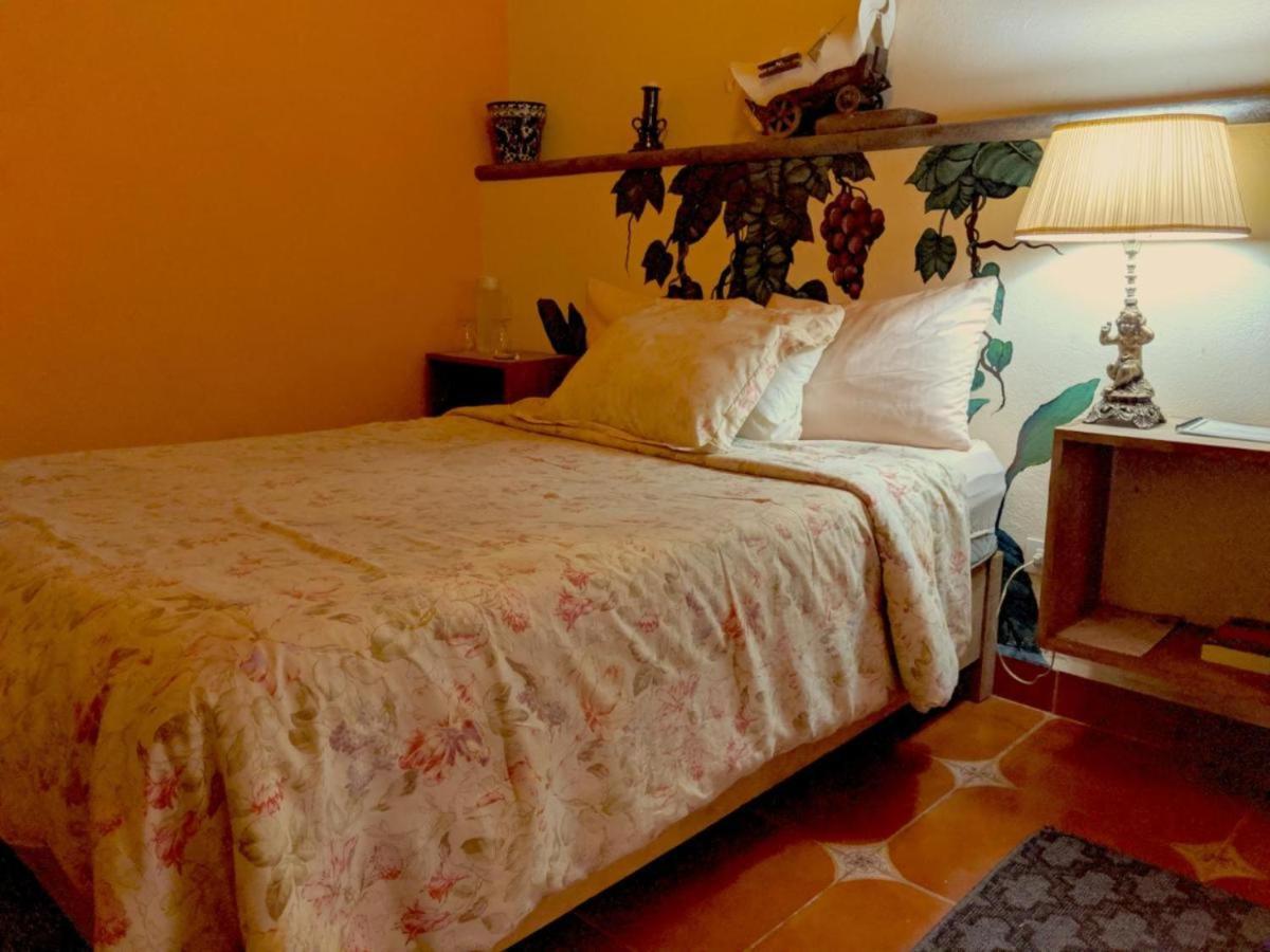 Bed and Breakfast Pozzito Boutique San Miguel de Allende Exterior foto