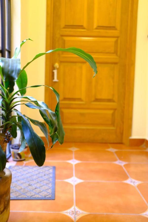 Bed and Breakfast Pozzito Boutique San Miguel de Allende Exterior foto