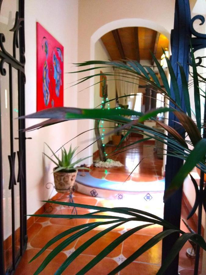 Bed and Breakfast Pozzito Boutique San Miguel de Allende Exterior foto